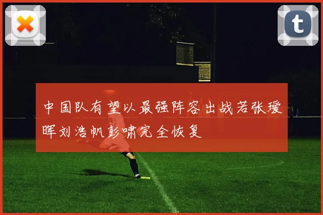 中国队有望以最强阵容出战若张瑷晖刘浩帆彭啸完全恢复